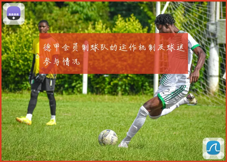 德甲会员制球队的运作机制及球迷参与情况