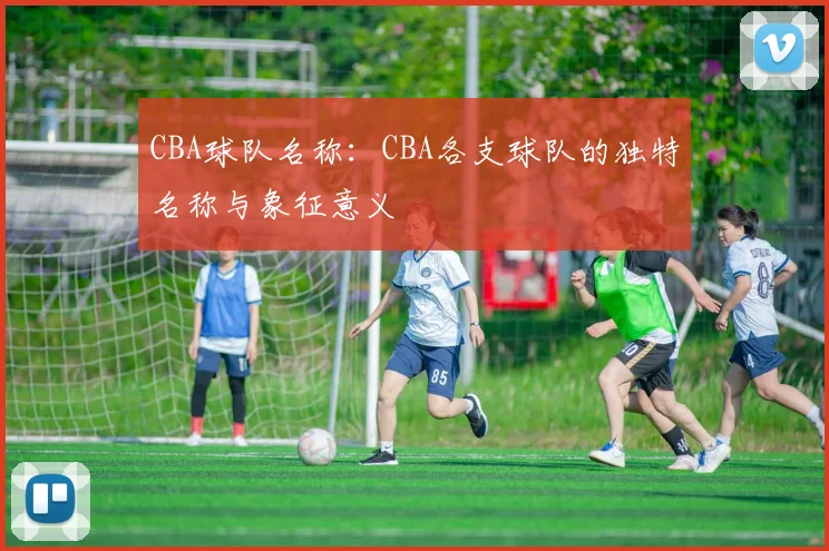 CBA球队名称：CBA各支球队的独特名称与象征意义