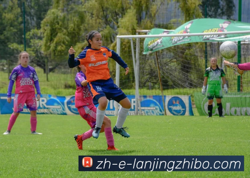 蓝鲸体育平台生态图